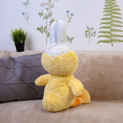    DL207005306Y