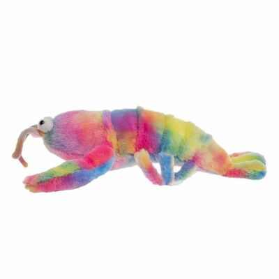   XB104201724Colorful