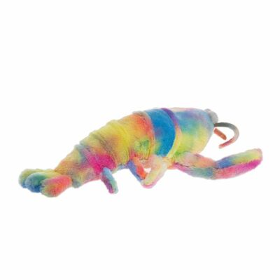    XB104201724Colorful