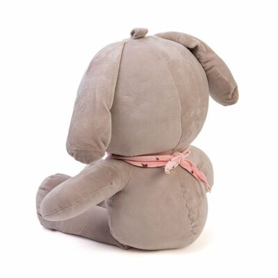    DL104000250GR