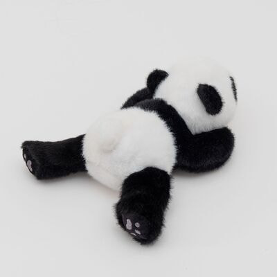 ������ ������� ����� ���������� DL802231319W