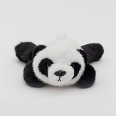 ������ ������� ����� ���������� DL802231319W