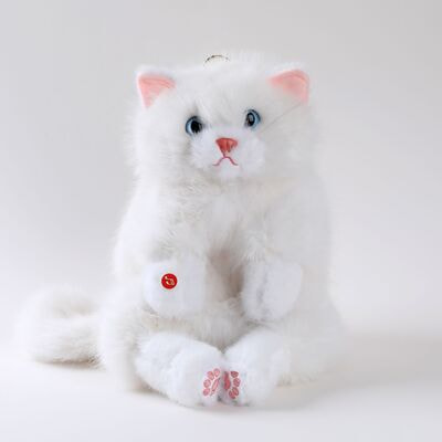 ������ ������� ����� ����� DL804531801W