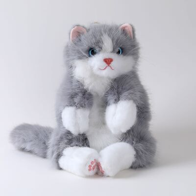 ������ ������� ����� ����� DL804531801GR