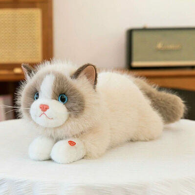 ������ ������� ����� JX805532014K