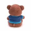    DL102501621BR