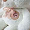    DL110000286W