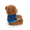    DL103001620BR