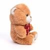    DL101900306BR