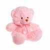    DL104000243LP