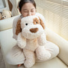    JX707028313BR
