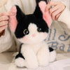    DL802329107BK