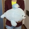     HY8005029505LB