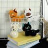     BL801230304BK