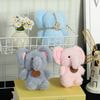     BL801530302P