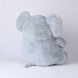    JX803529209LB.  2