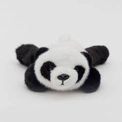 ������ ������� ����� ���������� DL802231319W. ��� 2