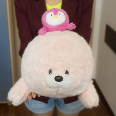     HY8005029505P