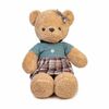    DL106000296GN