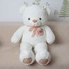    DL108500287W