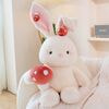    JX806529204W