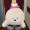     HY8005029505P