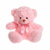    DL104000243LP