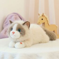 ������ ������� ����� JX804032013K